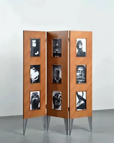 Ширма Дизайн: Philippe Starck, Aleph — 01.webp (enhanced)
